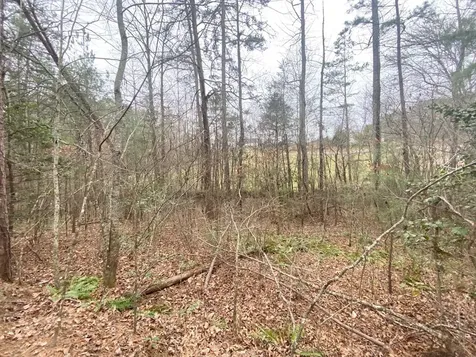 Lot 21 Broadleaf Lane Murphy NC 28906