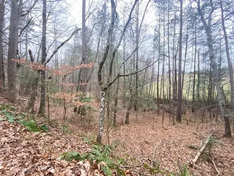 Lot 21 Broadleaf Lane Murphy NC 28906