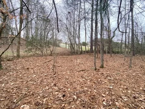 Lot 21 Broadleaf Lane Murphy NC 28906