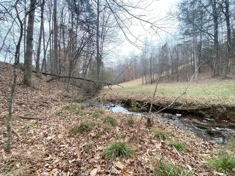 Lot 21 Broadleaf Lane Murphy NC 28906