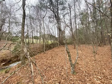 Lot 21 Broadleaf Lane Murphy NC 28906