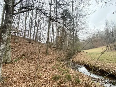 Lot 21 Broadleaf Lane Murphy NC 28906