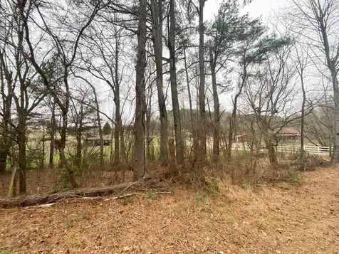 Lot 21 Broadleaf Lane Murphy NC 28906