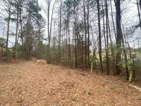 Lot 21 Broadleaf Lane Murphy NC 28906