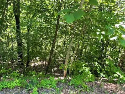 Lot 33b Grandview Drive Hayesville NC 28904
