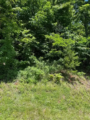 Lot 33b Grandview Drive Hayesville NC 28904