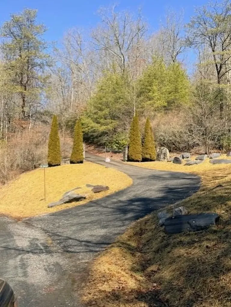 Tbd Brandonwood Drive Topton NC 28781