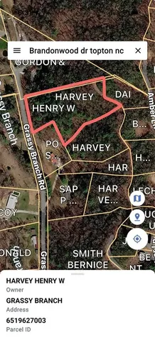 Tbd Brandonwood Drive Topton NC 28781