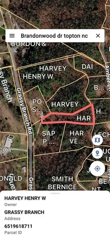 Tbd Brandonwood Drive Topton NC 28781