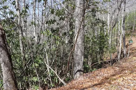 Tbd Brandonwood Drive Topton NC 28781