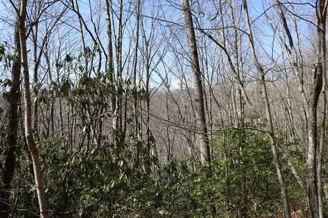 Tbd Brandonwood Drive Topton NC 28781