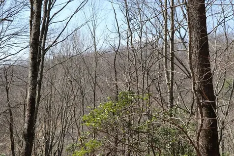 Tbd Brandonwood Drive Topton NC 28781