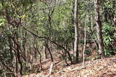 Tbd Brandonwood Drive Topton NC 28781