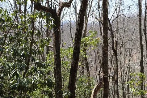 Tbd Brandonwood Drive Topton NC 28781