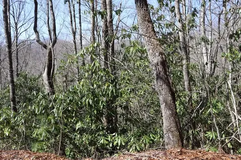 Tbd Brandonwood Drive Topton NC 28781