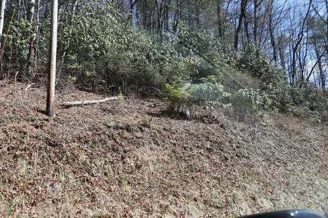 Tbd Brandonwood Drive Topton NC 28781
