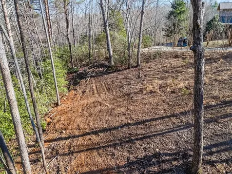 Tbd W Hills Murphy NC 28906