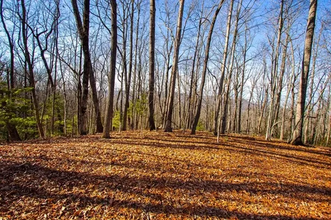 Tbd W Hills Murphy NC 28906