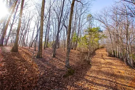 Tbd W Hills Murphy NC 28906