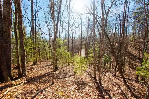 Tbd W Hills Murphy NC 28906