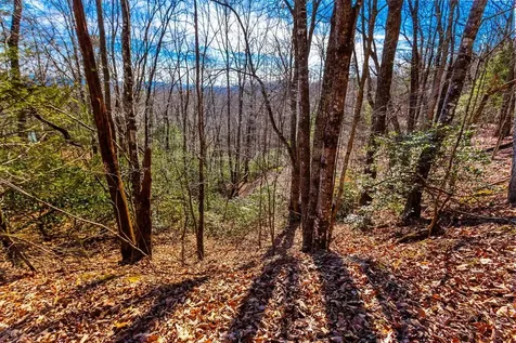 Tbd W Hills Murphy NC 28906
