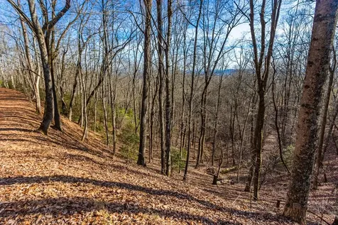 Tbd W Hills Murphy NC 28906