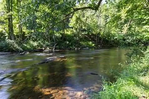 6306 Pigeon Road Canton NC 28716