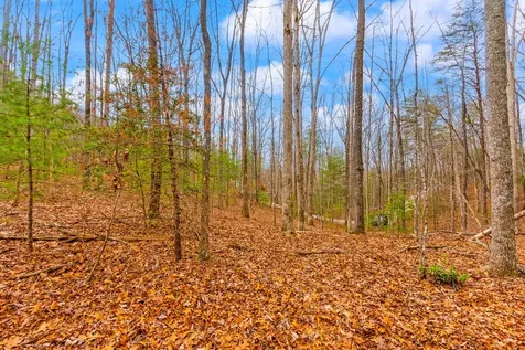 1.03 Ac Guy Eller Road Murphy NC 28906