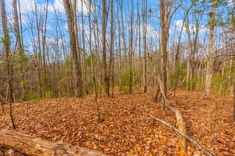1.03 Ac Guy Eller Road Murphy NC 28906