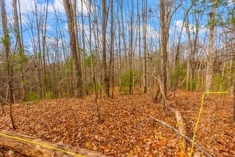 1.03 Ac Guy Eller Road Murphy NC 28906