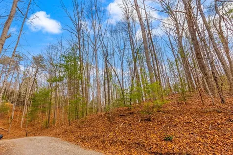 1.03 Ac Guy Eller Road Murphy NC 28906