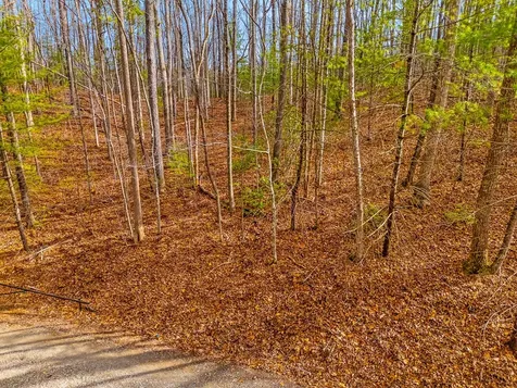 1.03 Ac Guy Eller Road Murphy NC 28906