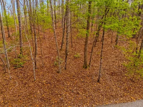1.03 Ac Guy Eller Road Murphy NC 28906