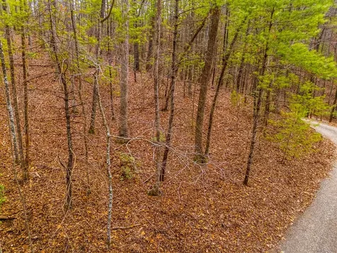 1.03 Ac Guy Eller Road Murphy NC 28906