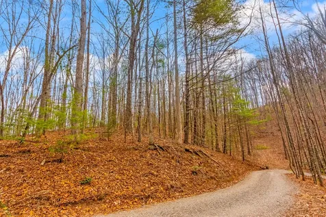 1.03 Ac Guy Eller Road Murphy NC 28906