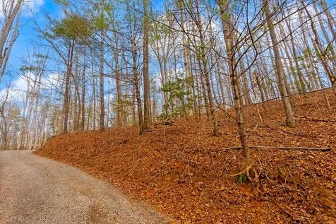 1.03 Ac Guy Eller Road Murphy NC 28906