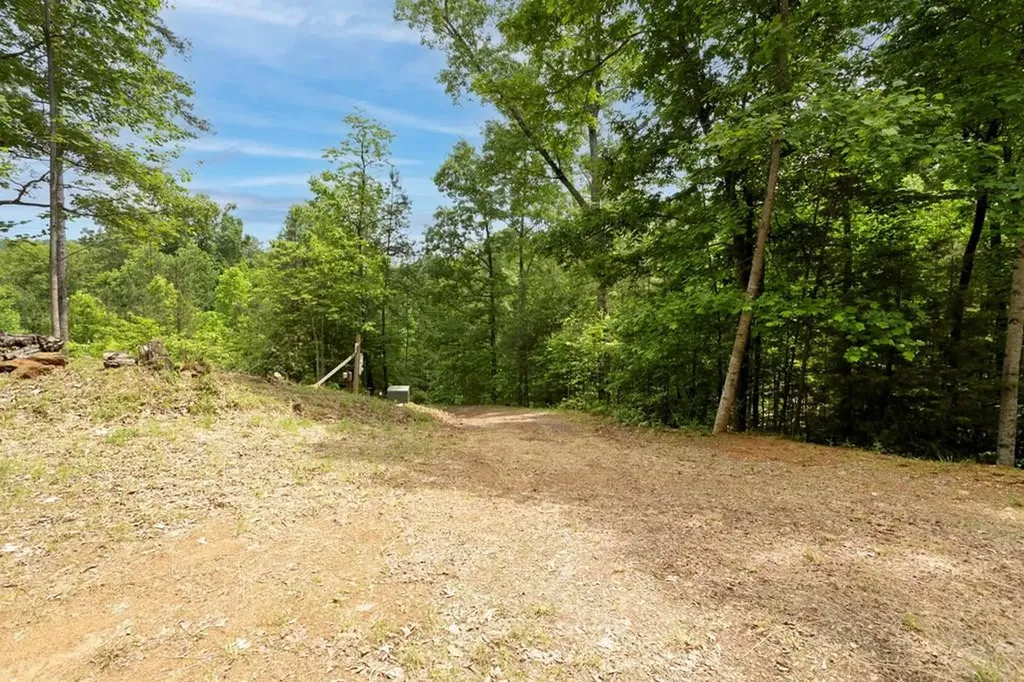 62 Green Cove Spur Murphy NC 28906