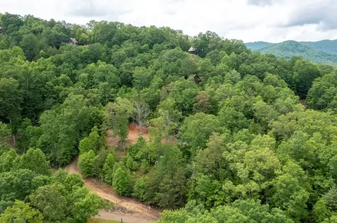 62 Green Cove Spur Murphy NC 28906