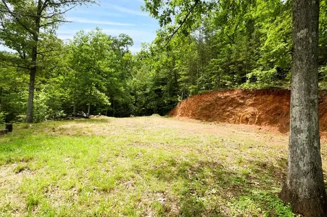 62 Green Cove Spur Murphy NC 28906
