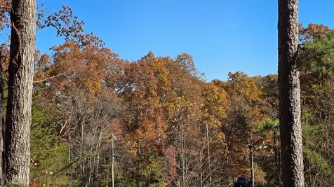 62 Green Cove Spur Murphy NC 28906