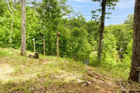 62 Green Cove Spur Murphy NC 28906
