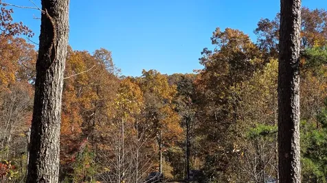 62 Green Cove Spur Murphy NC 28906