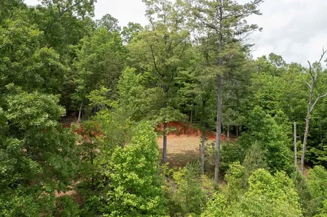 62 Green Cove Spur Murphy NC 28906