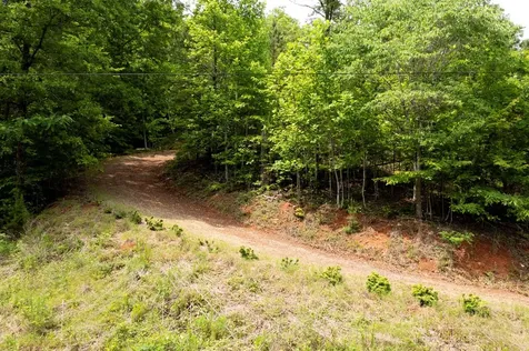 62 Green Cove Spur Murphy NC 28906