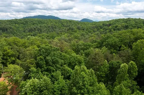 62 Green Cove Spur Murphy NC 28906