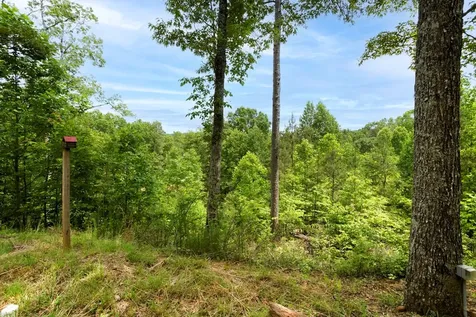 62 Green Cove Spur Murphy NC 28906