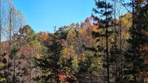 62 Green Cove Spur Murphy NC 28906