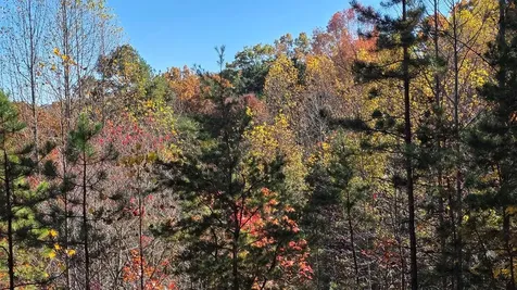 62 Green Cove Spur Murphy NC 28906