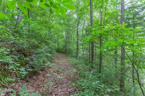 Lot 8-10 Castlewood Robbinsville NC 28771