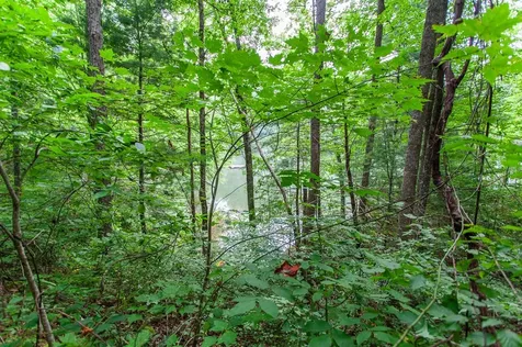 Lot 8-10 Castlewood Robbinsville NC 28771